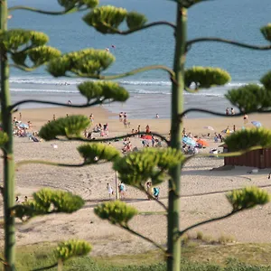  Apartamento Centro De Conil España
